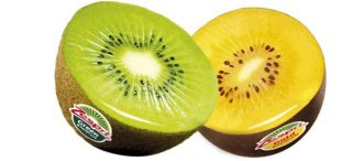 Kiwi Kiwi
