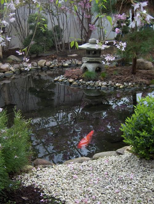 Japanese Garden