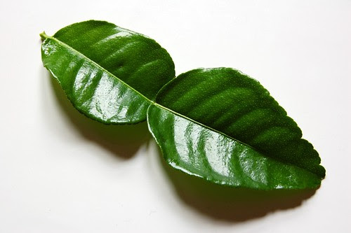 kaffir lime leaf© by haalo