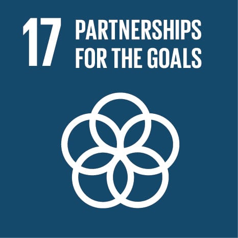 UN SDG Goal 17: Revitalize the global partnership for sustainable development