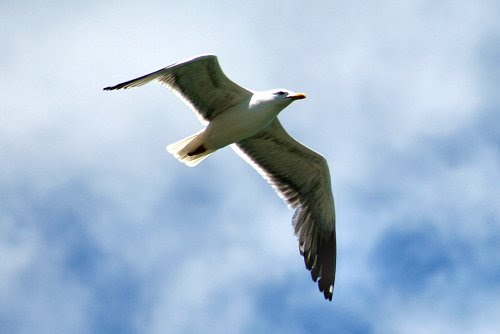 20090614-vs-0700