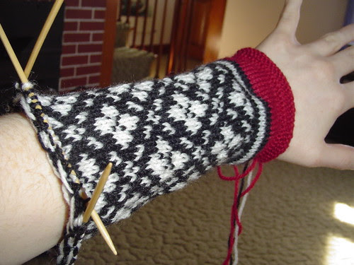 Ingeborg - first sleeve, April 10, 2006