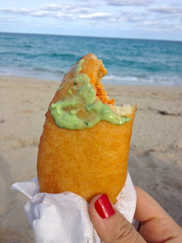 Empanada de Pollo