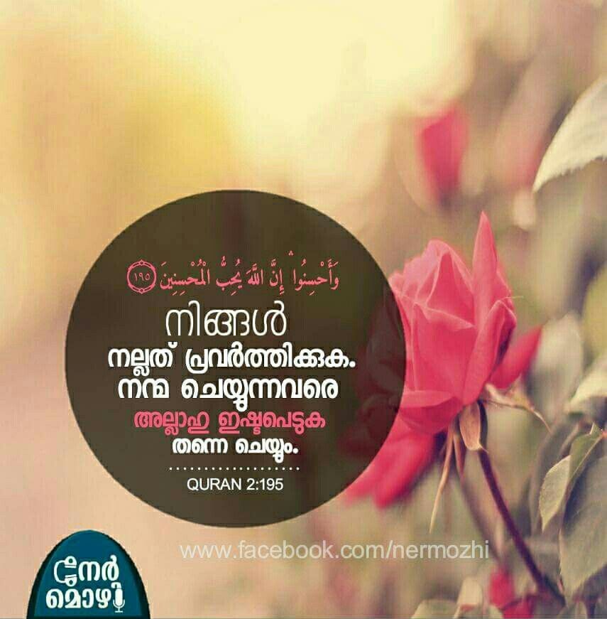 best-islamic-quotes-from-quran-in-malayalam