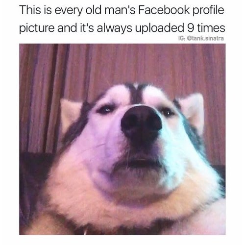 Funny Pfp : Meme Funny Pfp Pics | Humourge