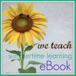 we teach summer ebook button