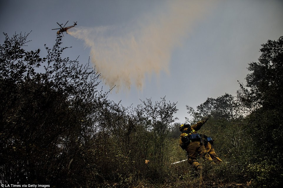 Fire spokesman Capt. Rick Crawford says cooler temperatures, slightly higher humidity and light winds forecast for Monday and Tuesday will be 'critical' for firefighters hoping to make progress against the Thomas Fire. Above Alameda County firefighters Darryn Murphy, left, and Robert Groh, right, work on clearing out brush, on Sunday