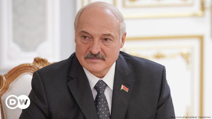 Помогал ли ЕС обогащаться Лукашенко