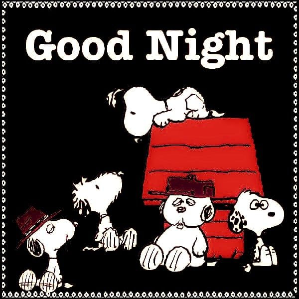 Have a good evening snoopy 714803-Have a nice evening snoopy