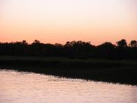 Free Image Hosting at www.ImageShack.us