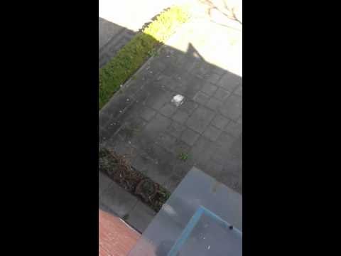 @Mensenrechten2 Herinnert u zich deze nog?