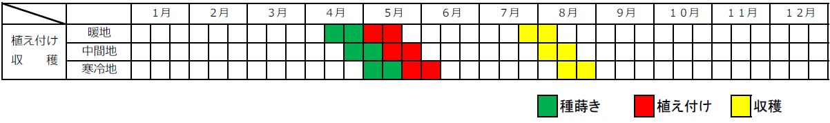 最新花 種まき カレンダー 美しい花の画像