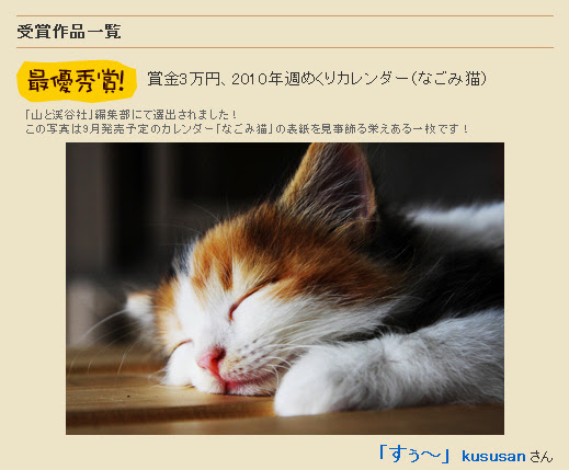 犬と猫のフォトコンテスト マイ ロイヤルカナン - 猫 写真 コンテスト