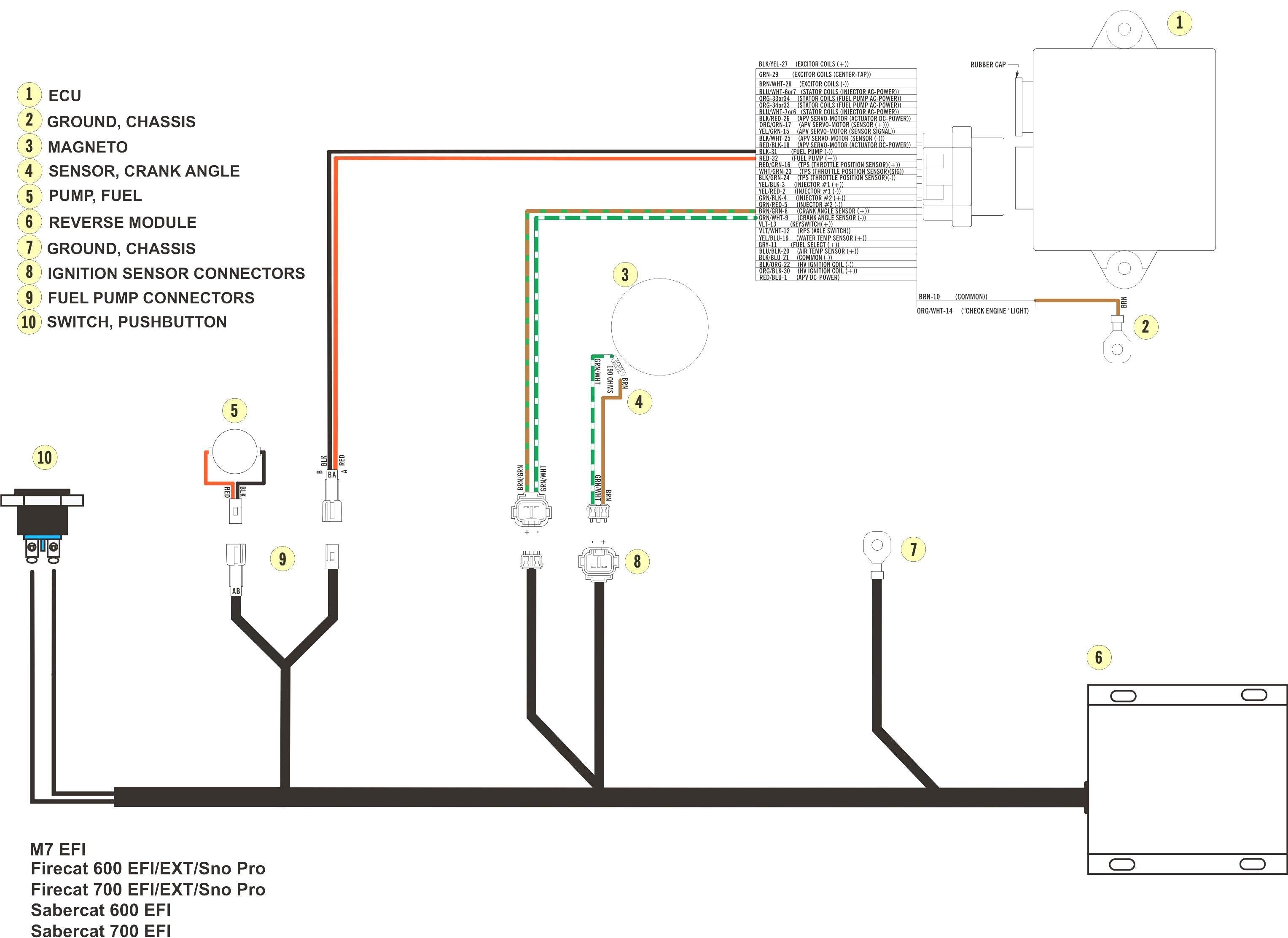 6 Pole Stator Wiring Diagram