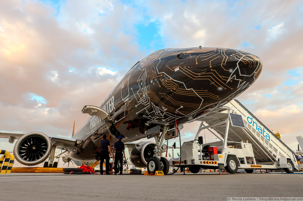 Embraer в костюме кота-киборга