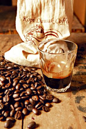 kopi luwak coffee Plea to harrods over 'cruel' coffee made from civet cat droppings