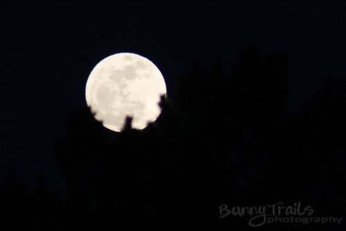 full moon