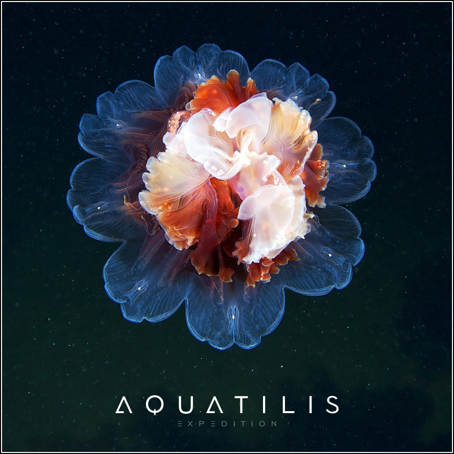 Aquatilis Expedition
