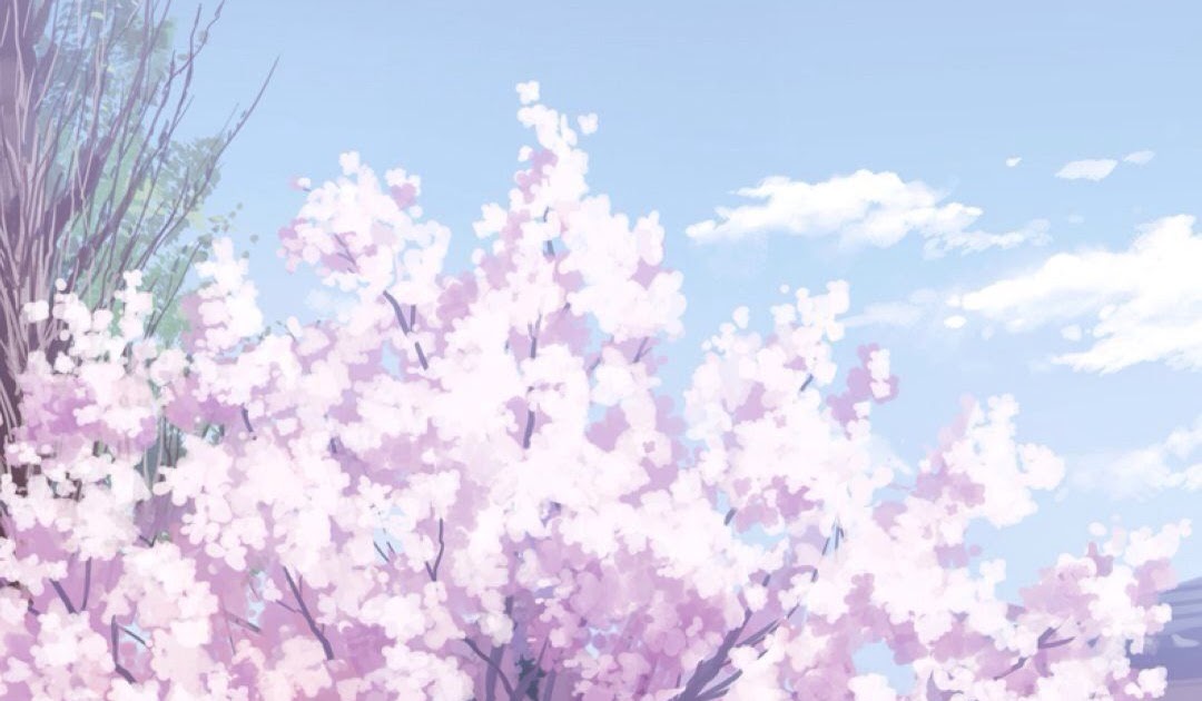 Cherry Blossom Anime Wallpaper Phone