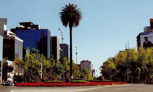 Go!: ¿como llegar a la Glorieta de la Palma?