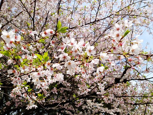20120415094414