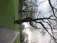 Free Image Hosting at www.ImageShack.us