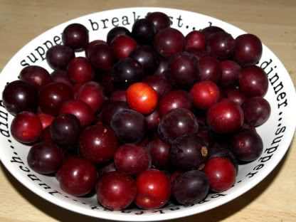 Plums in a bowl
