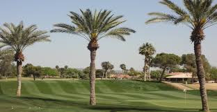 Country Club «Briarwood Country Club», reviews and photos, 20800 N 135th Ave, Sun City West, AZ 85375, USA