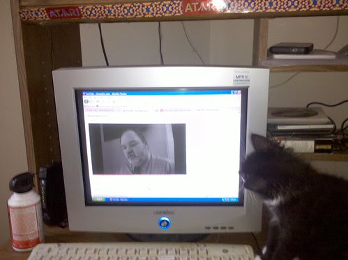 Biscuit watching Geauxjira