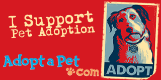 I Support Pet Adoption