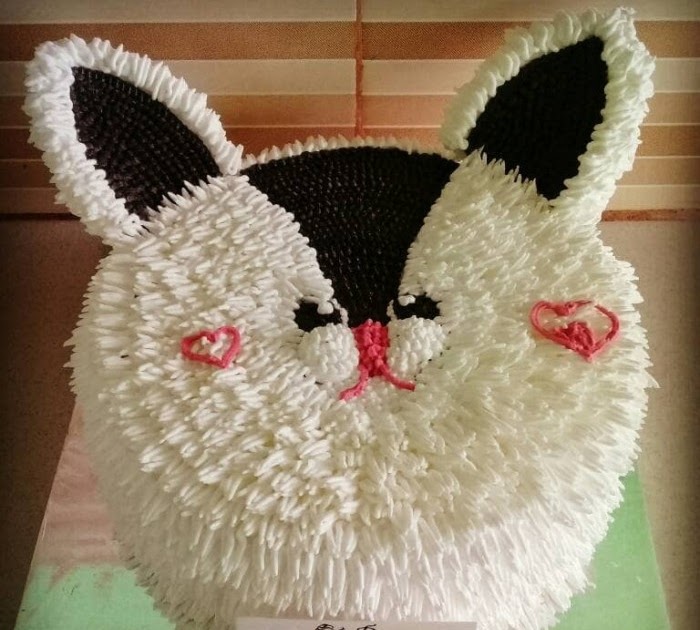 kucing Kue Ulang Tahun Gambar Kucing Lucu