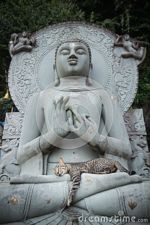 Gato que dorme em estátuas da Buda do regaço
