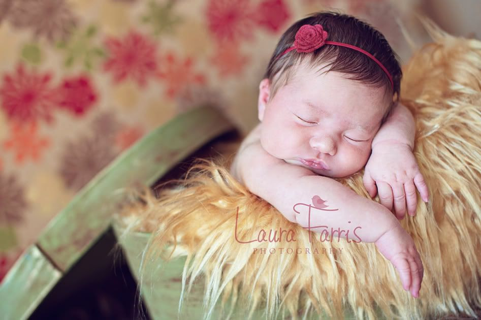 Boise newborn photography Idaho newborn photograher