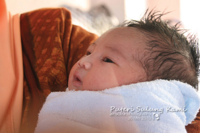 shifa 01
