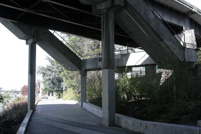 underpass, morrison bridge