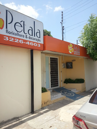 Pétala Floricultura & Decoração