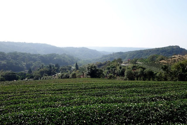 DSC00325