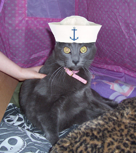 In the Navy