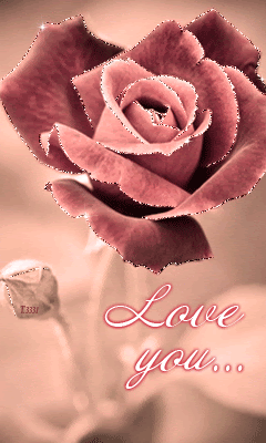 Нежная роза ( love you ...)
