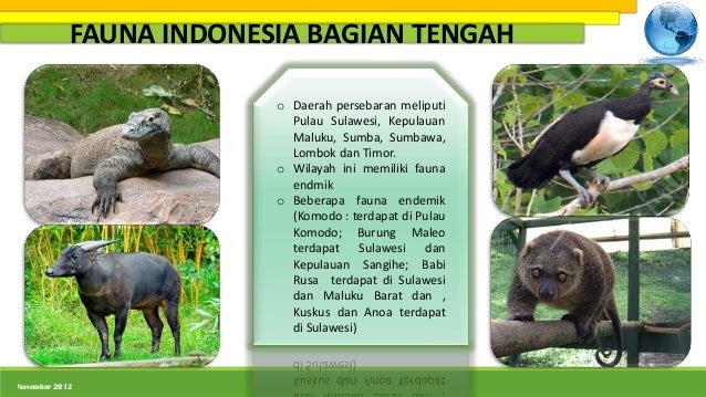 53 Terkeren Gambar Flora Fauna Indonesia Bagian Tengah