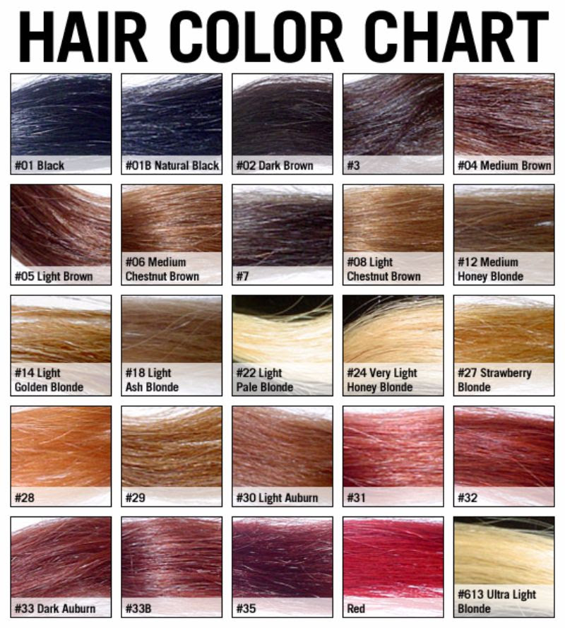 Different Shades Hair Color Chart