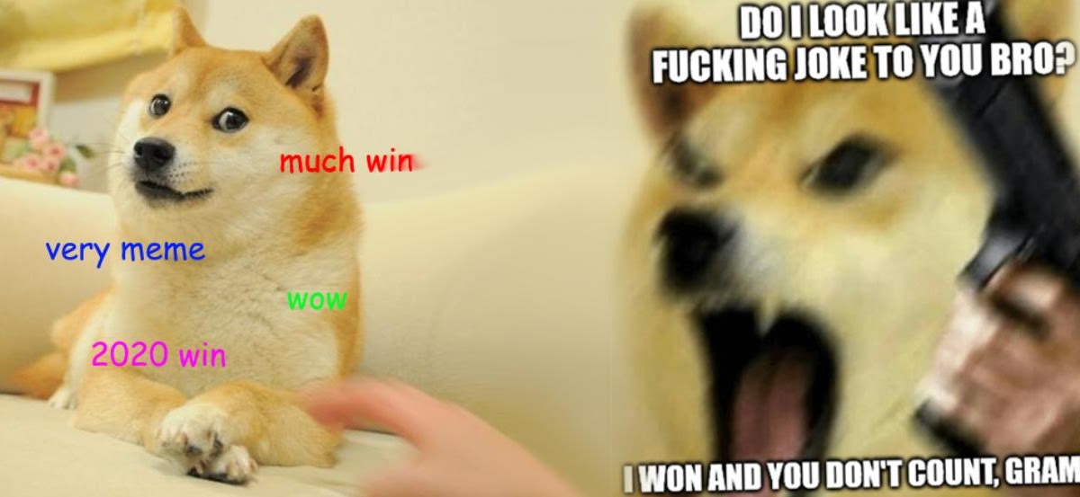 Shiba Inu Doge Memes 2020