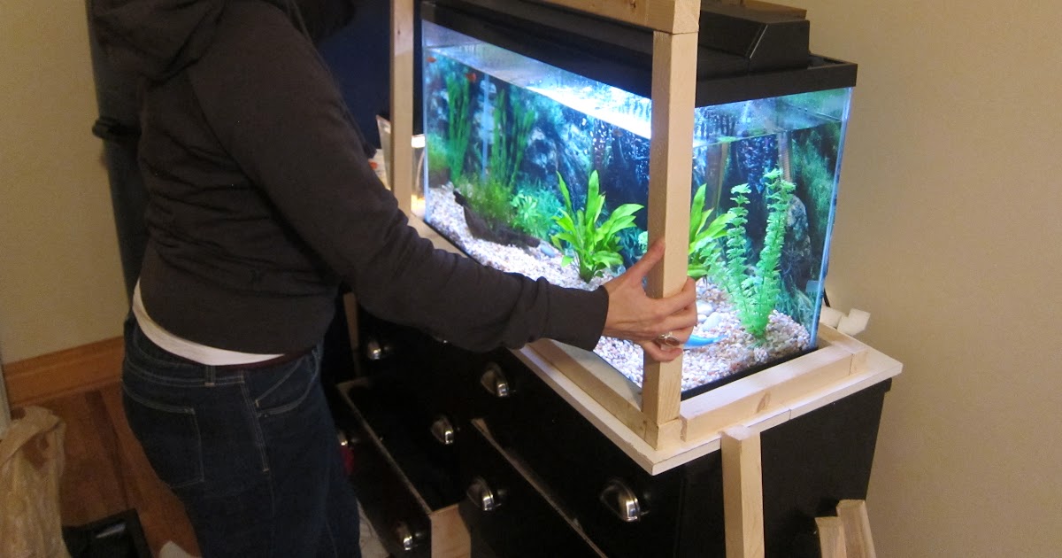 Benta: Buy How to make aquaponics fish tank
