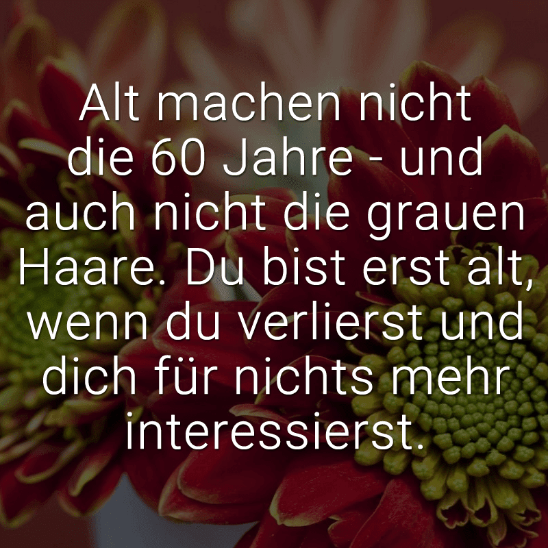 Geburtstagssprüche zum männer lustige 60 für lll▷ 🥇