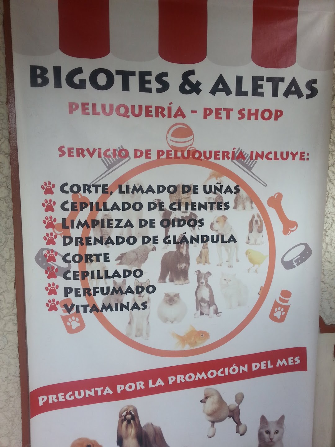 bigotes & aletas peluqueria-petshop
