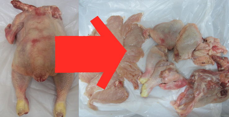 photo chicken_zps8a47ee1f.png
