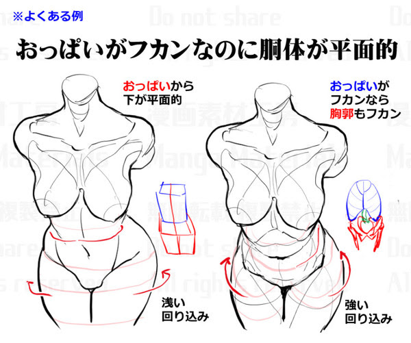 立派な 胸 描き方 アニメ柔術HD