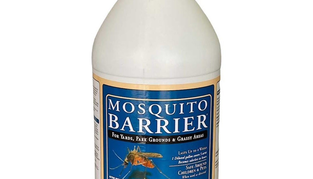 garlic can kill mosquitoes
