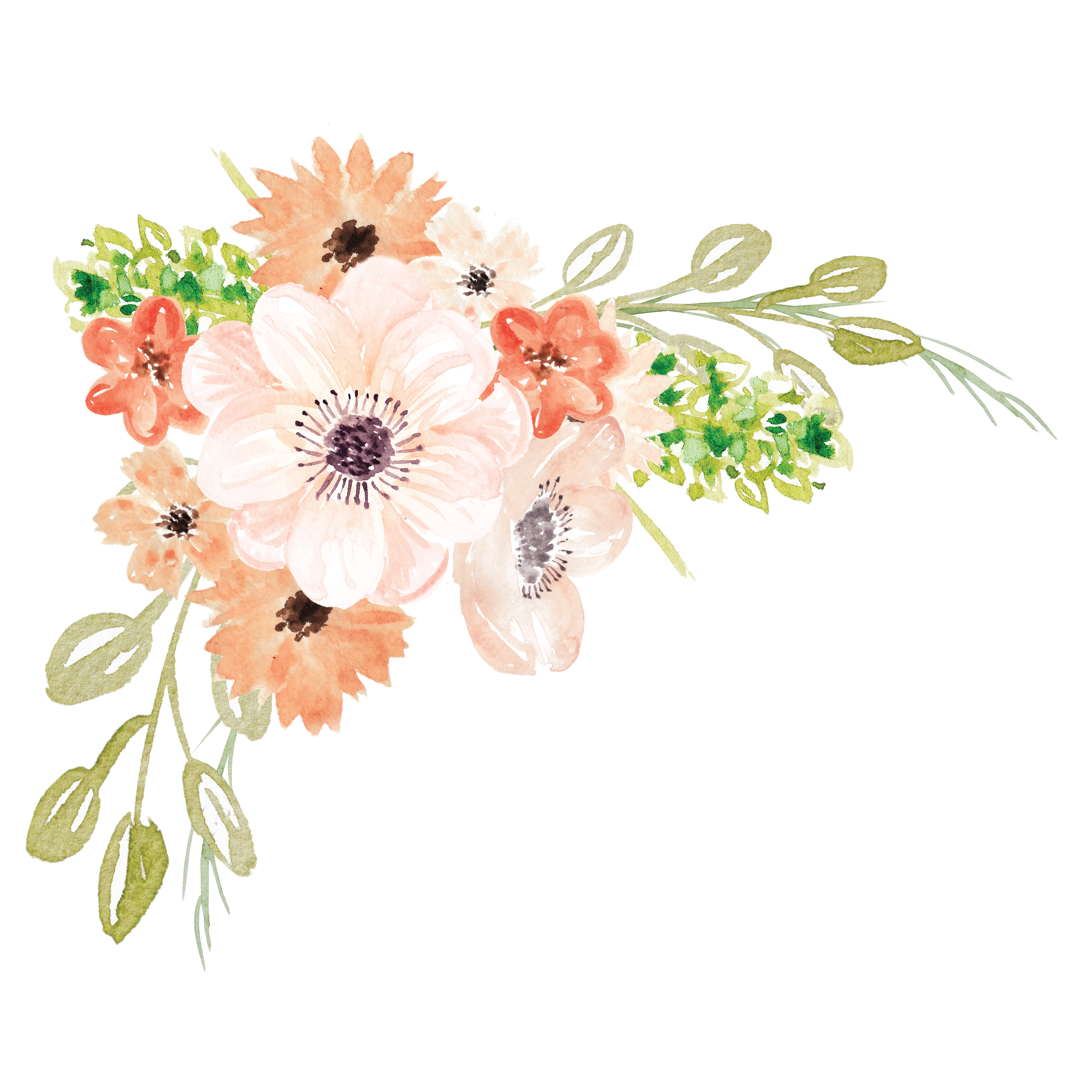 White Watercolor Flowers Transparent Background - gedankenlos bilder
