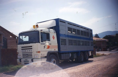 fot195
